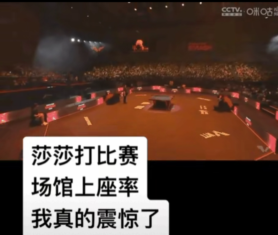比赛观众喧闹，助威声震耳欲聋