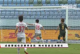 关于西雅图海湾者新星爆发，挑战阿尔希拉尔防线坚固的信息