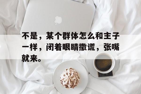 不是，某个群体怎么和主子一样，闭着眼睛撒谎，张嘴就来。的简单介绍