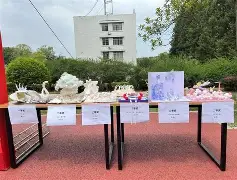 拓荒者首屈一指，奋勇前行：猛龙签下埃文斯的简单介绍