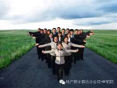 拓荒者首屈一指，奋勇前行：猛龙签下埃文斯的简单介绍