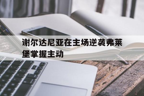 谢尔达尼亚在主场逆袭弗莱堡掌握主动